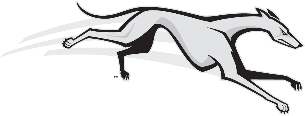 Loyola-Maryland Greyhounds 2002-2010 Partial Logo iron on transfers for clothing